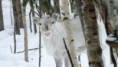 /album/navsteva-skoly/dscf5792-jpg/
